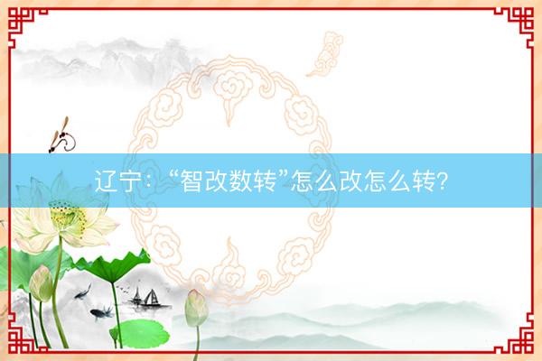 辽宁：“智改数转”怎么改怎么转？