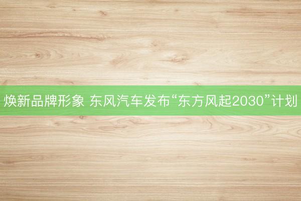 焕新品牌形象 东风汽车发布“东方风起2030”计划