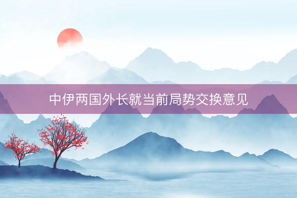 中伊两国外长就当前局势交换意见