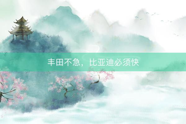 丰田不急，比亚迪必须快