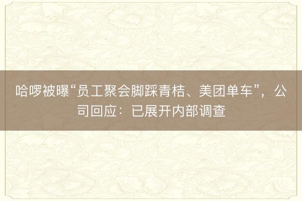 哈啰被曝“员工聚会脚踩青桔、美团单车”，公司回应：已展开内部调查
