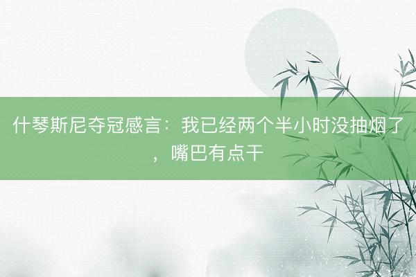 什琴斯尼夺冠感言：我已经两个半小时没抽烟了，嘴巴有点干