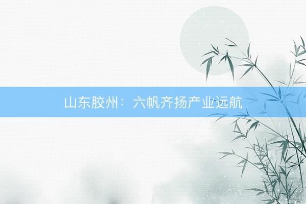 山东胶州：六帆齐扬产业远航