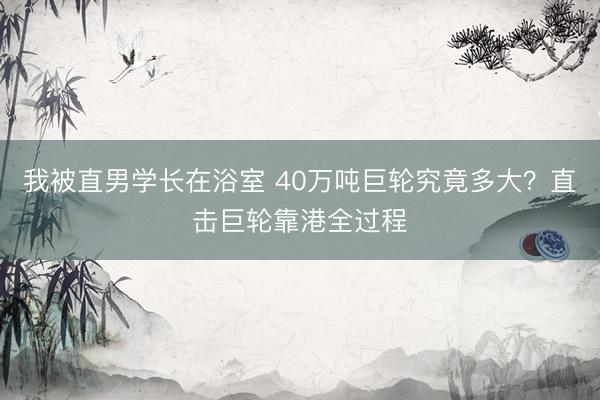 我被直男学长在浴室 40万吨巨轮究竟多大？直击巨轮靠港全过程