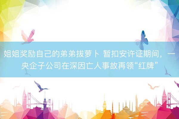 姐姐奖励自己的弟弟拔萝卜 暂扣安许证期间，一央企子公司在深因亡人事故再领“红牌”