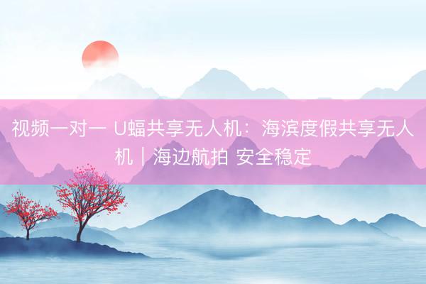 视频一对一 U蝠共享无人机：海滨度假共享无人机｜海边航拍 安全稳定