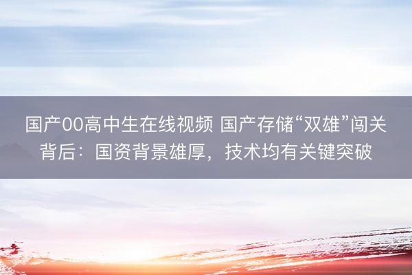 国产00高中生在线视频 国产存储“双雄”闯关背后：国资背景雄厚，技术均有关键突破