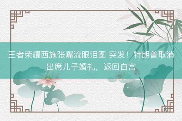 王者荣耀西施张嘴流眼泪图 突发！特朗普取消出席儿子婚礼，返回白宫
