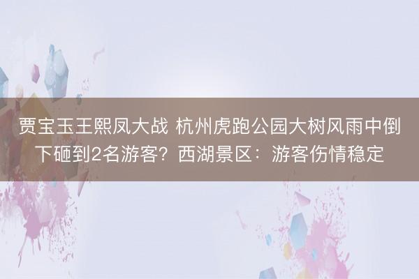 贾宝玉王熙凤大战 杭州虎跑公园大树风雨中倒下砸到2名游客?西湖景区:游客伤情稳定