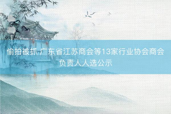 偷拍被抓 广东省江苏商会等13家行业协会商会负责人人选公示