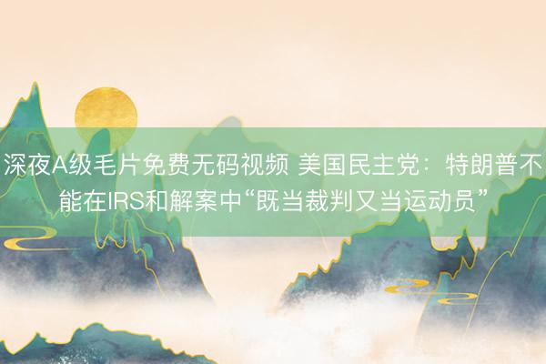 深夜A级毛片免费无码视频 美国民主党：特朗普不能在IRS和解案中“既当裁判又当运动员”