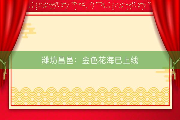 潍坊昌邑:金色花海已上线