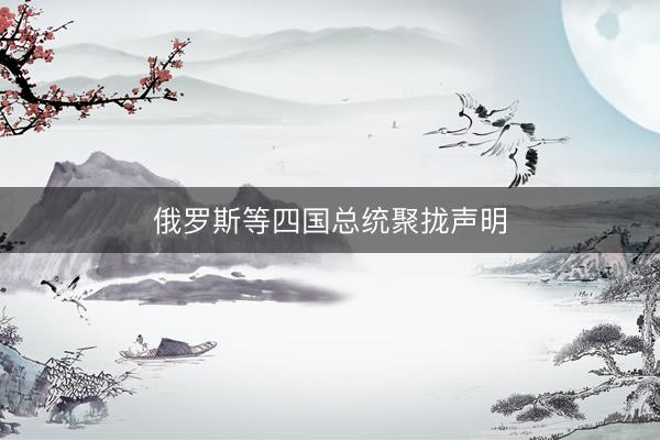 俄罗斯等四国总统聚拢声明