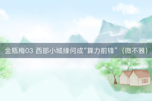 金瓶梅03 西部小城缘何成“算力前锋”（微不雅）