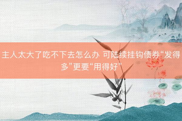 主人太大了吃不下去怎么办 可陆续挂钩债券“发得多”更要“用得好”