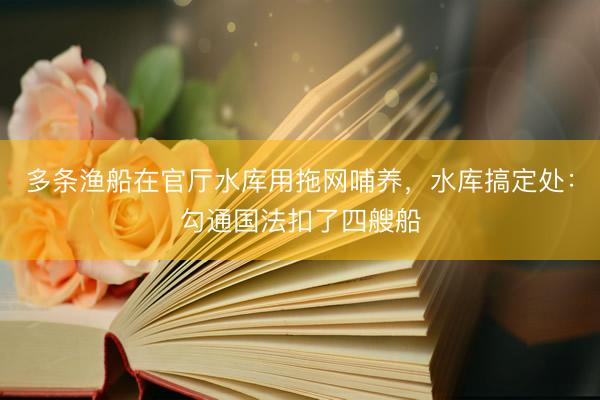 多条渔船在官厅水库用拖网哺养，水库搞定处：勾通国法扣了四艘船